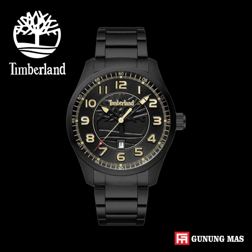 TIMBERLAND  TBL 15487JSB